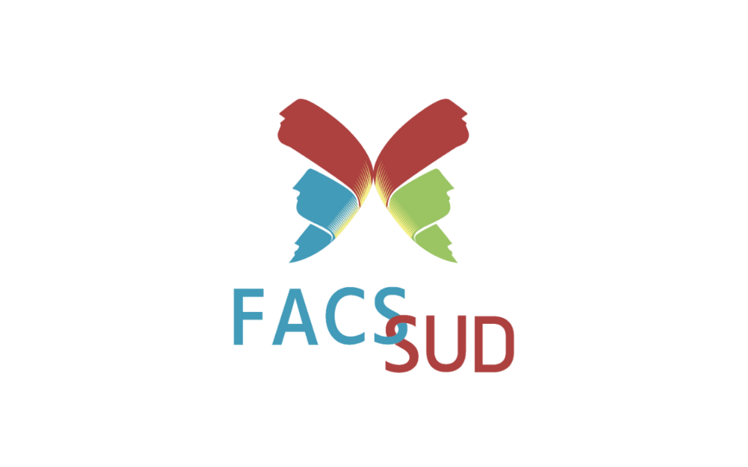 Chantier prioritaire de la FACS Sud 2021 – 2022: les coopérations entre acteurs de la coordination